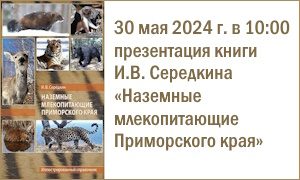30.05.24 Презентация книги И.В. Середкина-анонс-миниатюра