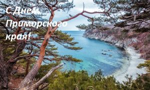 85 лет Приморскому краю-миниатюра