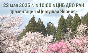 Анонс презентации «Цветущая Япония»-миниатюра
