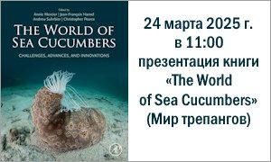 Анонс презентации книги «The World of Sea Cucumbers»-анонс-миниатюра