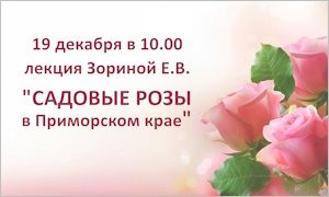 Анонс тематической встречи с Зориной Е.В.-миниатюра
