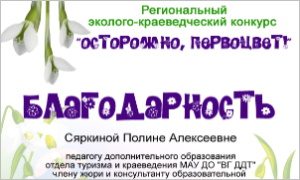 Благодарность Сяркиной П.А..- миниатюра