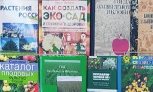 Большие заботы маленького хозяйства - миниатюра