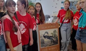 Исследователи моря-миниатюра