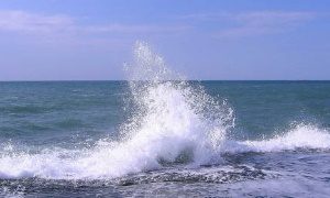 Книжная выставка «Это удивительное море»- миниатюра