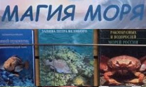 Магия моря- миниатюра