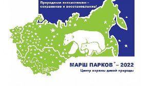 Марш парков-2022-миниатюра
