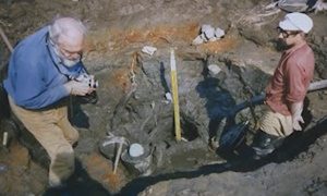 Мероприятия к 70-летию образования Дальневосточной археологической экспедиции-миниатюра
