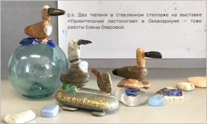 Мини-выставки, объединенные темой моря-миниатюра
