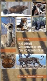 Наземные млекопитающие Приморского края