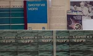 Памяти ученого М.В. Проппа-миниатюра