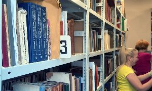 Плановая модернизация книгохранилищ-миниатюра