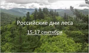 Российские дни леса-миниатюра