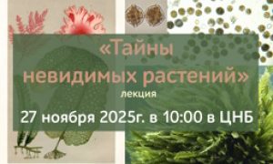 Тематическая встреча с Ж.В. Маркиной — ученым-гидробиологом, к.б.н. миниатюра