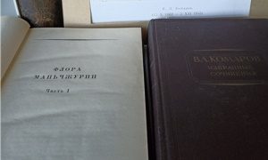 виртуальный музей редкой книги-выставки-миниатюра