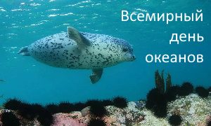 Всемирный день океанов-миниатюра