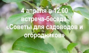 Встреча- беседа Советы для садоводов-миниатюра