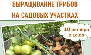 «Выращивание грибов на садовых участках»-миниатюра