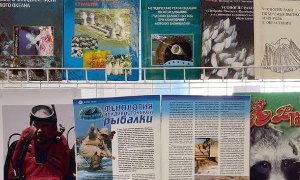 Выставка «50 лет в науке», посвященная Звягинцеву А. Ю.-миниатюра