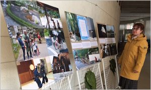 Выставка фотографий, сделанных А.Б. Имбсом в Японии-миниатюра