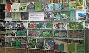 Выставка к 50-летию работы в Ботаническом саду-миниатюра