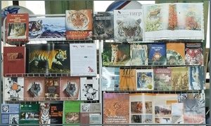 Выставка к Международному дню тигра в холле ТИГ ДВО РАН-миниатюра