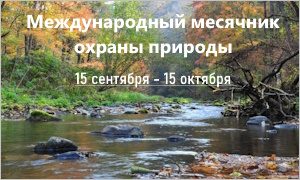 Выставка к Международному месячнику охраны природы-миниатюра