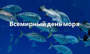 Выставка к Всемирному дню моря-миниатюра