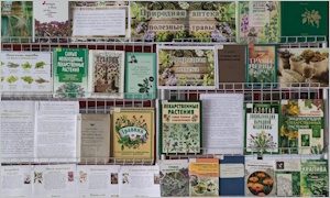 Выставка к Всемирному дню здоровья-миниатюра