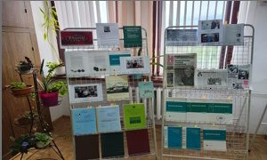 Выставка к юбилею Кушнеровой Н. Ф.-миниатюра