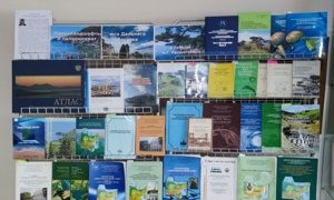 Выставка к юбилею Надежды Глебовны Разжигаевой, д. г. н. миниатюра