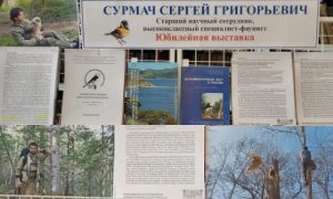 Выставка к юбилею Сурмача С.Г.-миниатюра