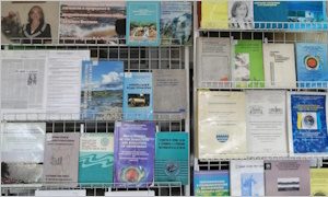 Выставка к юбилею В.А. Чудаевой-миниатюра
