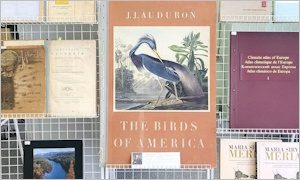Выставка Книги – великаны-миниатюра