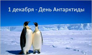 Выставка ко Дню Антарктиды-миниатюра