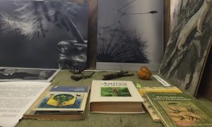 Выставка ко дню памяти И. Брехмана-миниатюра