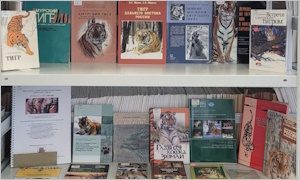 Выставка ко Дню тигра в ФНЦ Биоразнообразия-миниатюра