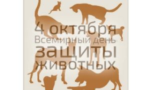 Выставка ко Всемирному дню защиты животных - миниатюра