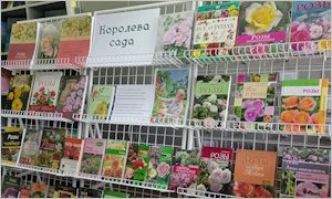 Выставка Королева сада-миниатюра