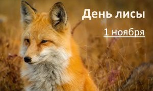 Выставка Лиса - всему лесу краса-миниатюра