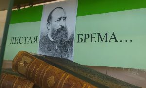 Выставка «Листая Брема…»-миниатюра