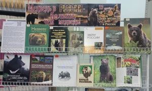 Выставка «Медведь в России – больше, чем медведь!» в ФНЦБ миниатюра