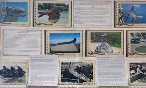 Выставка «Морские животные в истории войны»-миниатюра