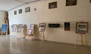 Выставка «Нигредо, альбедо, рубедо» в ННЦМБ ДВО РАН миниатюра