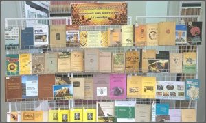 Выставка «О пчёлах без секретов» в ФНЦБ ДВО РАН-миниатюра