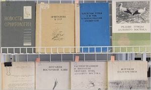 Выставка памяти Ю.В. Шибаева-миниатюра