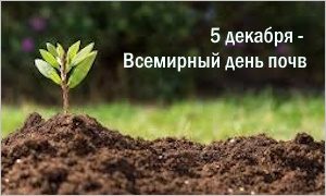 Выставка «Почва - основа жизни»-миниатюра