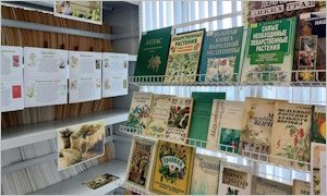 Выставка Природная аптека. Полезные травы-миниатюра
