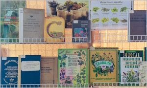 Выставка «Природная аптека. Полезные травы»-миниатюра