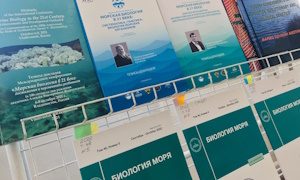 выставка Путь в науку-миниатюра